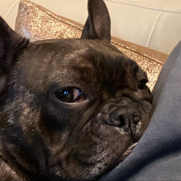 Custom Bundle - Picture 1 of 1